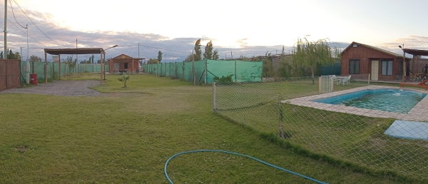 WhatsApp Image 2024-08-14 at 12.59.07.jpeg